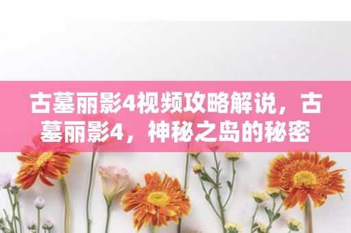 古墓丽影4视频攻略解说，古墓丽影4，神秘之岛的秘密