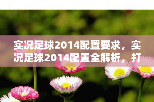 实况足球2014配置要求，实况足球2014配置全解析，打造流畅游戏体验