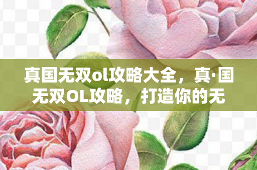 真国无双ol攻略大全，真·国无双OL攻略，打造你的无双霸业