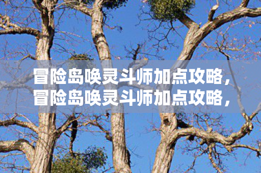 冒险岛唤灵斗师加点攻略图片