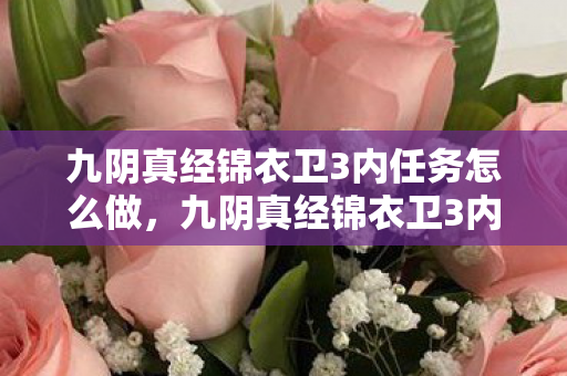 九阴真经锦衣卫3内任务怎么做，九阴真经锦衣卫3内任务全解析，挑战与机遇并存
