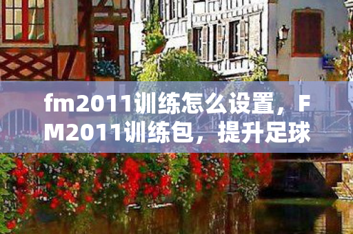 fm2011训练怎么设置，FM2011训练包，提升足球经理游戏技能的关键工具
