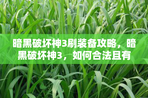 暗黑破坏神3刷装备攻略，暗黑破坏神3，如何合法且有效地提升游戏体验