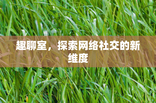 趣聊室,探索网络社交的新维度 趣聊室,探索网络社交的新维度