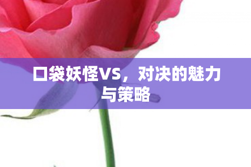 口袋妖怪VS，对决的魅力与策略