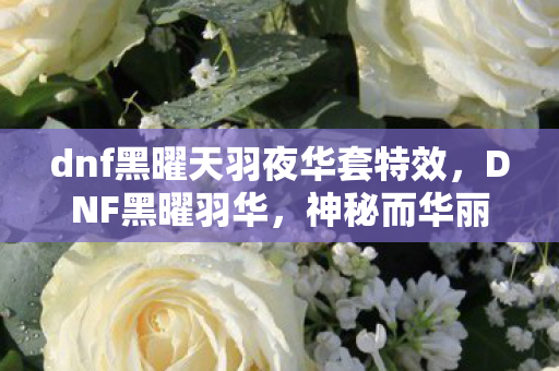 dnf黑曜天羽夜华套特效图片