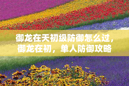 御龙在天初级防御怎么过图片