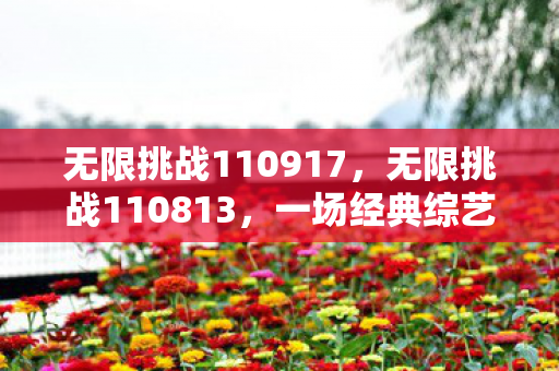 一场经典综艺的回顾与感悟图片