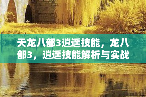 天龙八部3逍遥技能，龙八部3，逍遥技能解析与实战应用