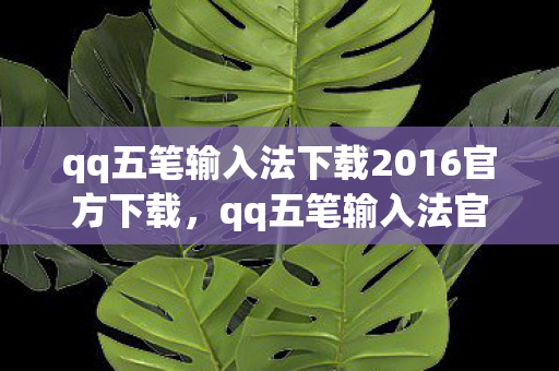 qq五笔输入法下载2016官方下载，qq五笔输入法官方下载2012，经典再现，高效打字新体验