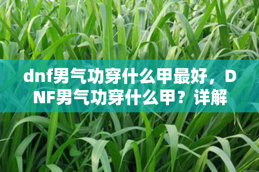 dnf男气功穿什么甲最好，DNF男气功穿什么甲？详解男气功师装备选择