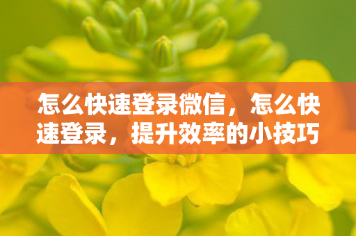 怎么快速登录微信，怎么快速登录，提升效率的小技巧