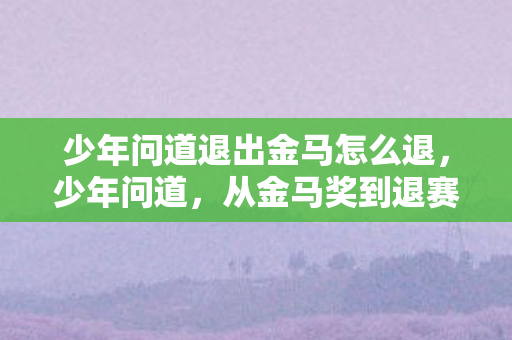 少年问道退出金马怎么退，少年问道，从金马奖到退赛之路