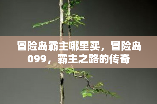 冒险岛霸主哪里买，冒险岛099，霸主之路的传奇