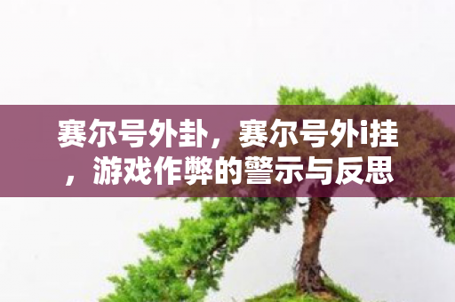 赛尔号外卦,赛尔号外i挂,游戏作弊的警示与反思 赛尔号外卦,赛尔号外i挂,游戏作弊的警示与反思