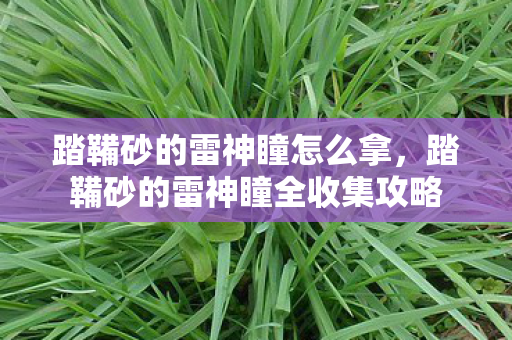 踏鞴砂的雷神瞳怎么拿,踏鞴砂的雷神瞳全收集攻略 踏鞴砂的雷神瞳怎么拿,踏鞴砂的雷神瞳全收集攻略