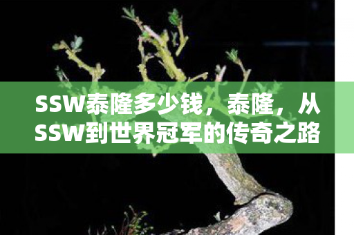 SSW泰隆多少钱，泰隆，从SSW到世界冠军的传奇之路