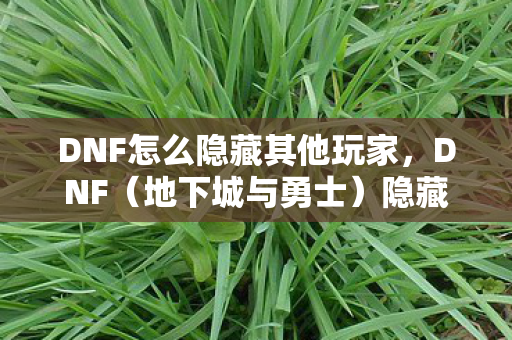 DNF怎么隐藏其他玩家图片