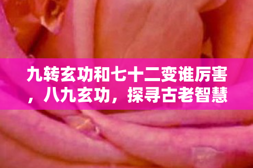 九转玄功和七十二变谁厉害图片