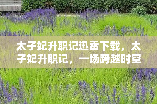 一场跨越时空的宫廷奇缘图片