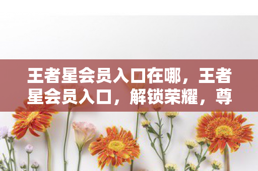 王者星会员入口在哪图片
