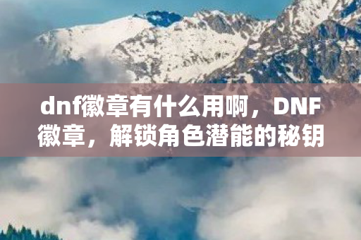dnf徽章有什么用啊图片