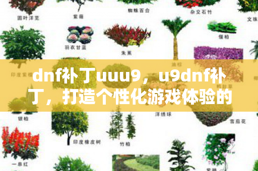 打造个性化游戏体验的利器图片