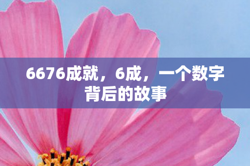 6676成就，6成，一个数字背后的故事