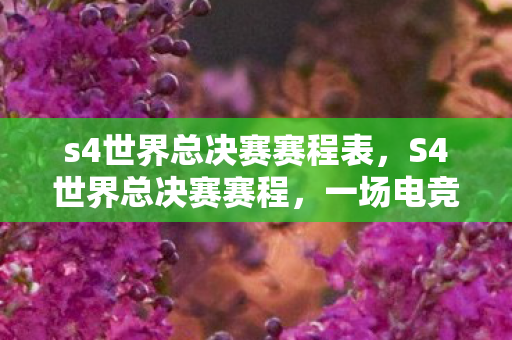 s4世界总决赛赛程表图片