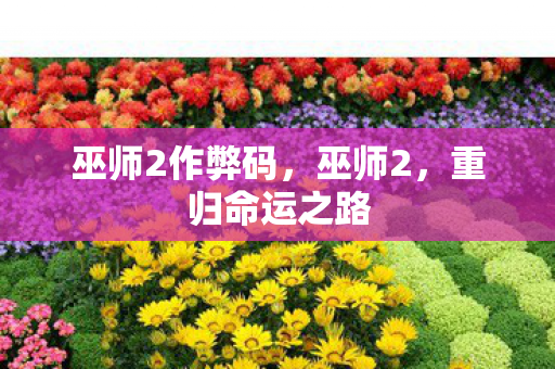 巫师2作弊码图片