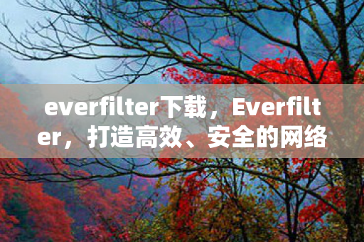 安全的网络内容过滤解决方案图片