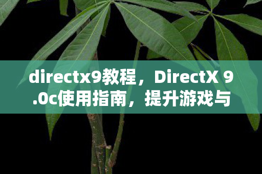 directx9教程图片