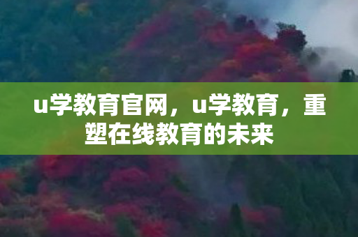 重塑在线教育的未来图片