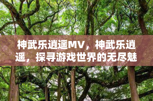 神武乐逍遥MV，神武乐逍遥，探寻游戏世界的无尽魅力与乐趣