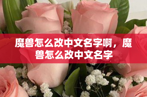 魔兽怎么改中文名字啊图片