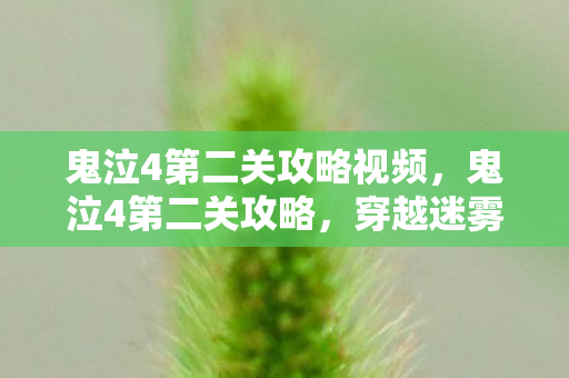 鬼泣4第二关攻略视频,鬼泣4第二关攻略,穿越迷雾,挑战升级 鬼泣4第二关攻略视频,鬼泣4第二关攻略,穿越迷雾,挑战升级