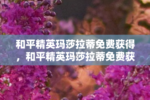 和平精英玛莎拉蒂免费获得，和平精英玛莎拉蒂免费获得攻略，解锁隐藏任务，赢取豪华跑车！