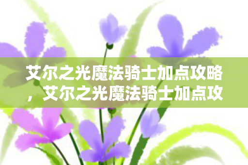 艾尔之光魔法骑士加点攻略，艾尔之光魔法骑士加点攻略