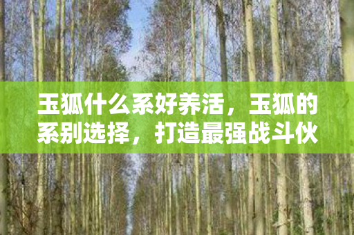 玉狐什么系好养活,玉狐的系别选择,打造最强战斗伙伴 玉狐什么系好养活,玉狐的系别选择,打造最强战斗伙伴