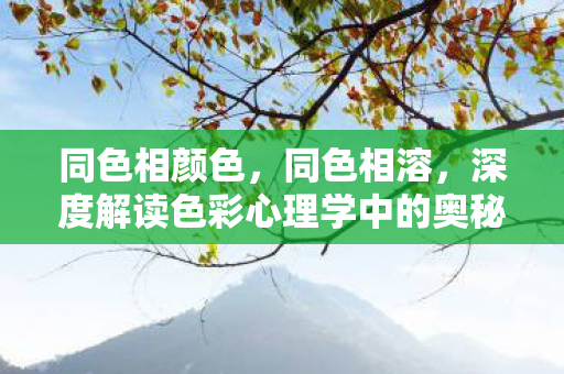 同色相颜色，同色相溶，深度解读色彩心理学中的奥秘