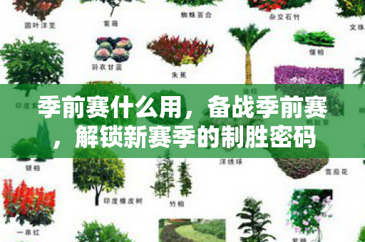 季前赛什么用,备战季前赛,解锁新赛季的制胜密码 季前赛什么用,备战季前赛,解锁新赛季的制胜密码
