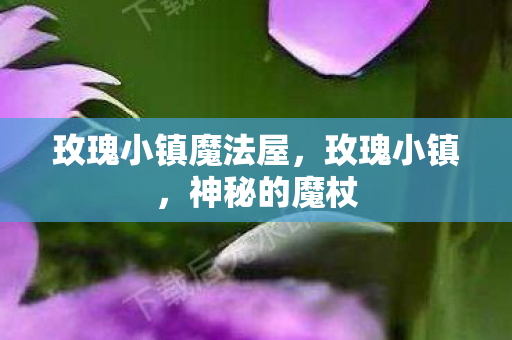 玫瑰小镇魔法屋，玫瑰小镇，神秘的魔杖