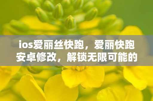 解锁无限可能的技巧与注意事项图片