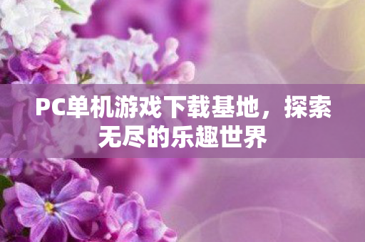 PC单机游戏下载基地，探索无尽的乐趣世界