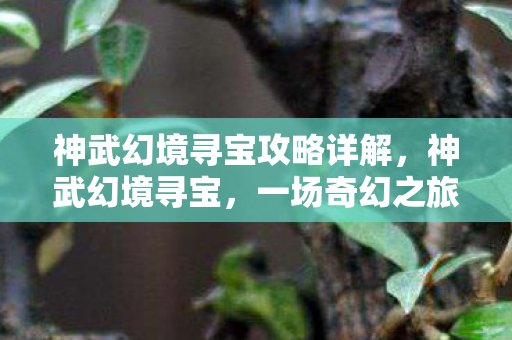 神武幻境寻宝攻略详解，神武幻境寻宝，一场奇幻之旅