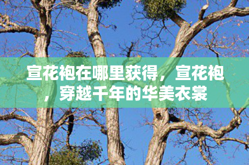 宣花袍在哪里获得，宣花袍，穿越千年的华美衣裳