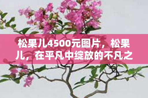 松果儿4500元图片，松果儿，在平凡中绽放的不凡之光