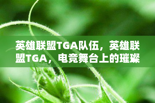 英雄联盟TGA队伍，英雄联盟TGA，电竞舞台上的璀璨明珠