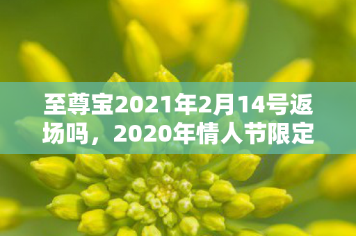 至尊宝2021年2月14号返场吗图片