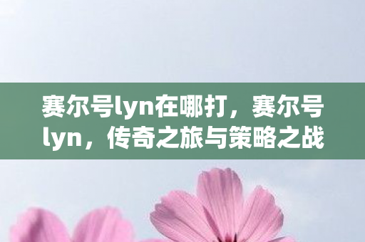 赛尔号lyn在哪打图片